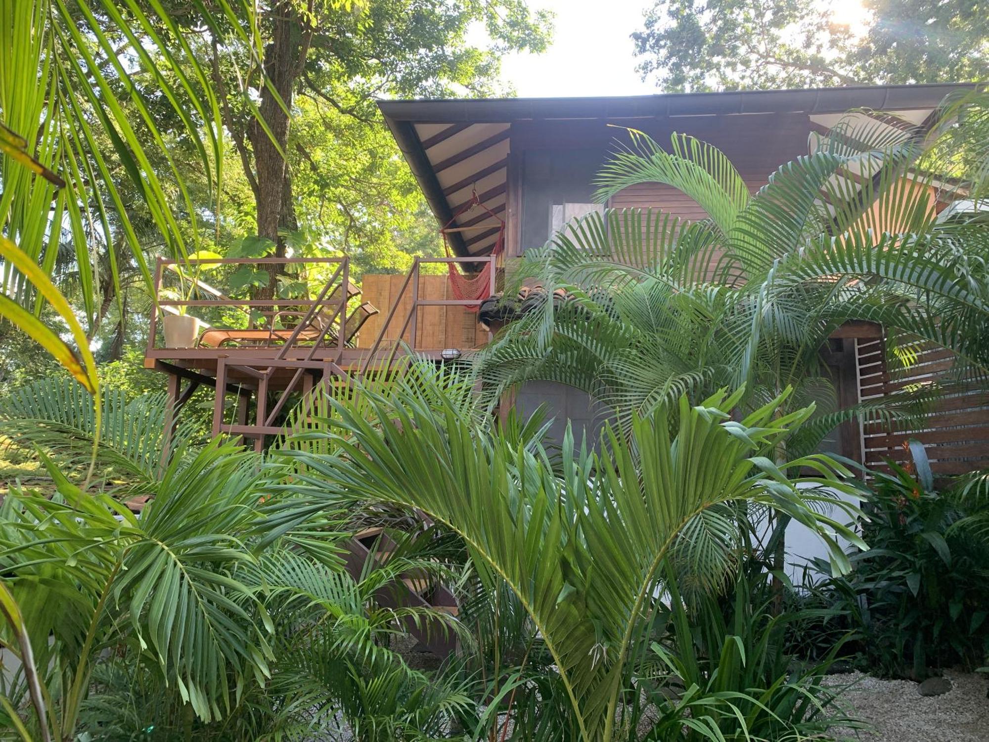 The Beach Bungalows Tamarindo- Adults Only Δωμάτιο φωτογραφία