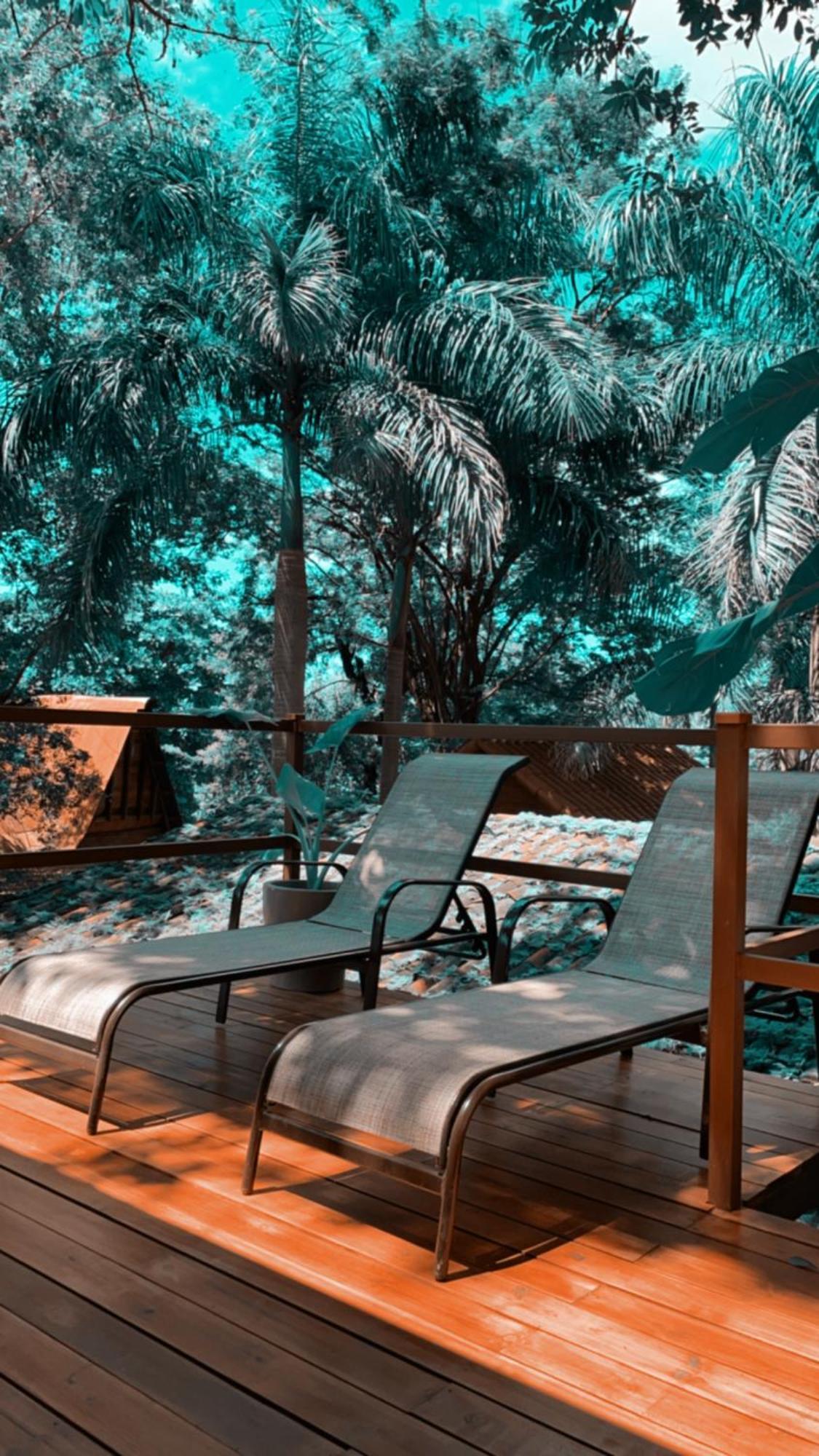 The Beach Bungalows Tamarindo- Adults Only Δωμάτιο φωτογραφία